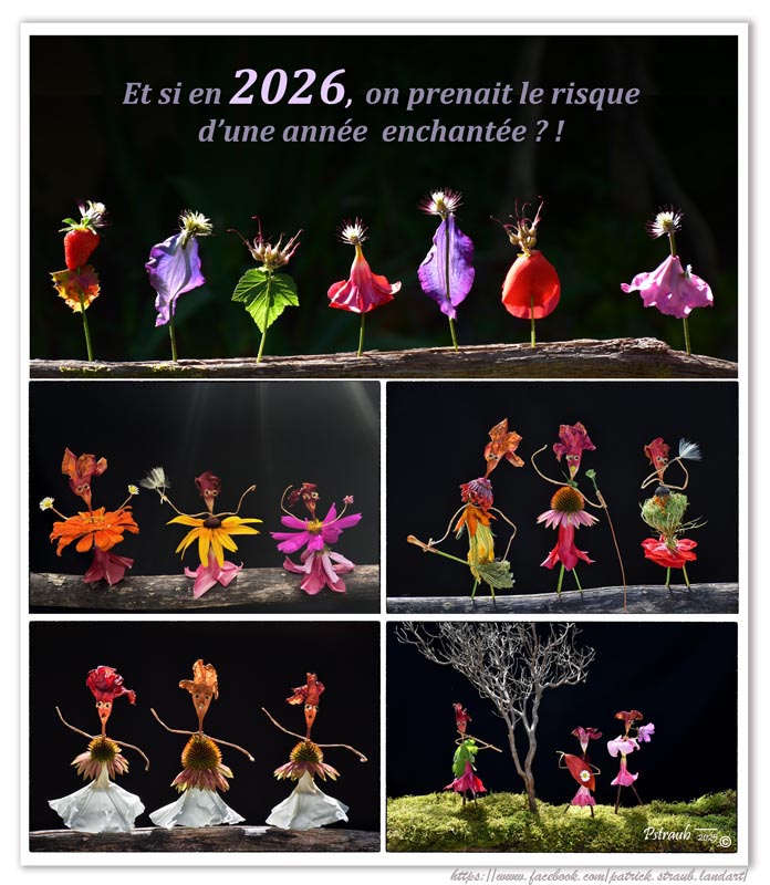 La carte de voeux de Patrick Straub